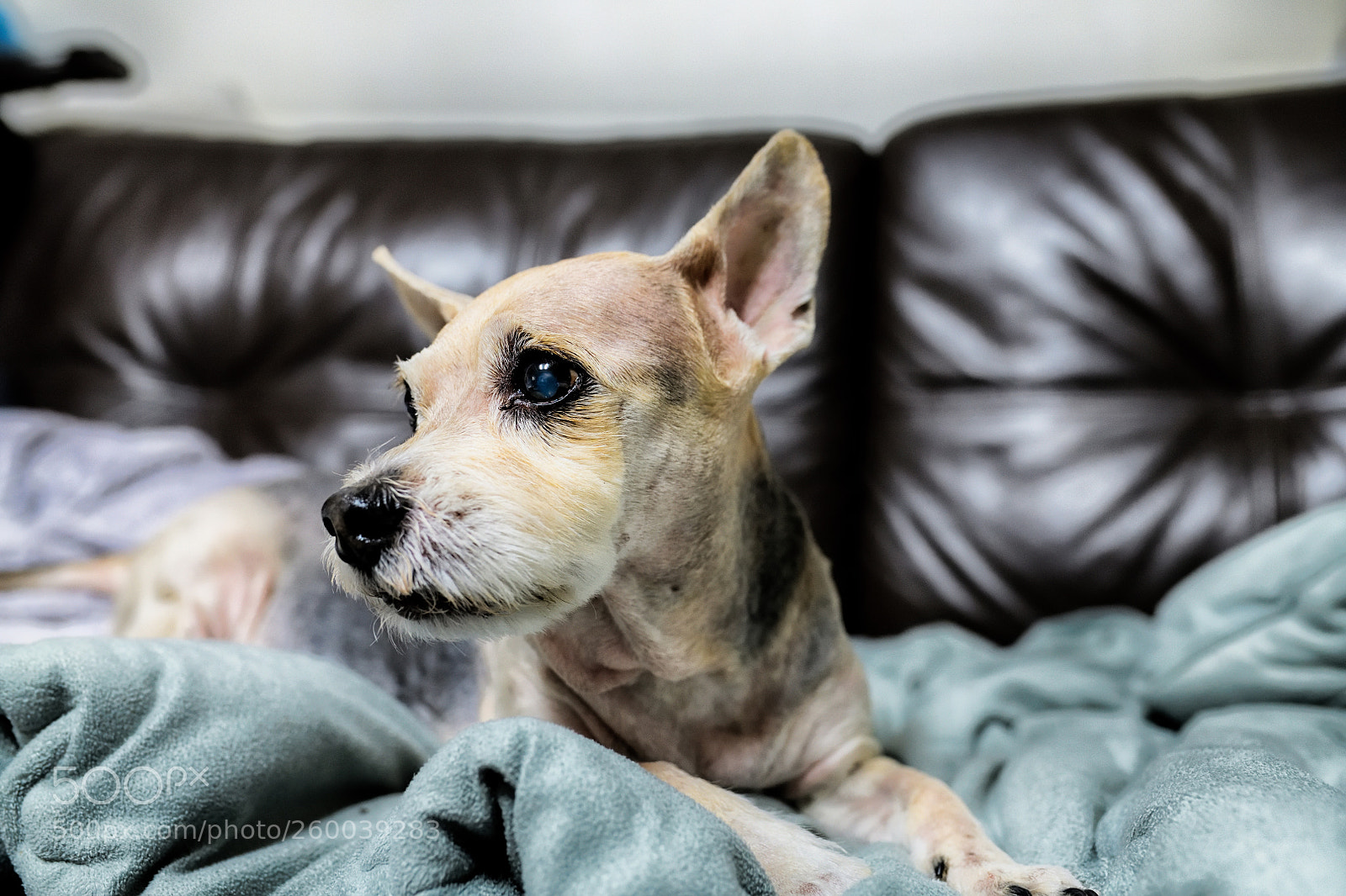 Nikon D850 sample photo. 850_2351_00001.jpg photography