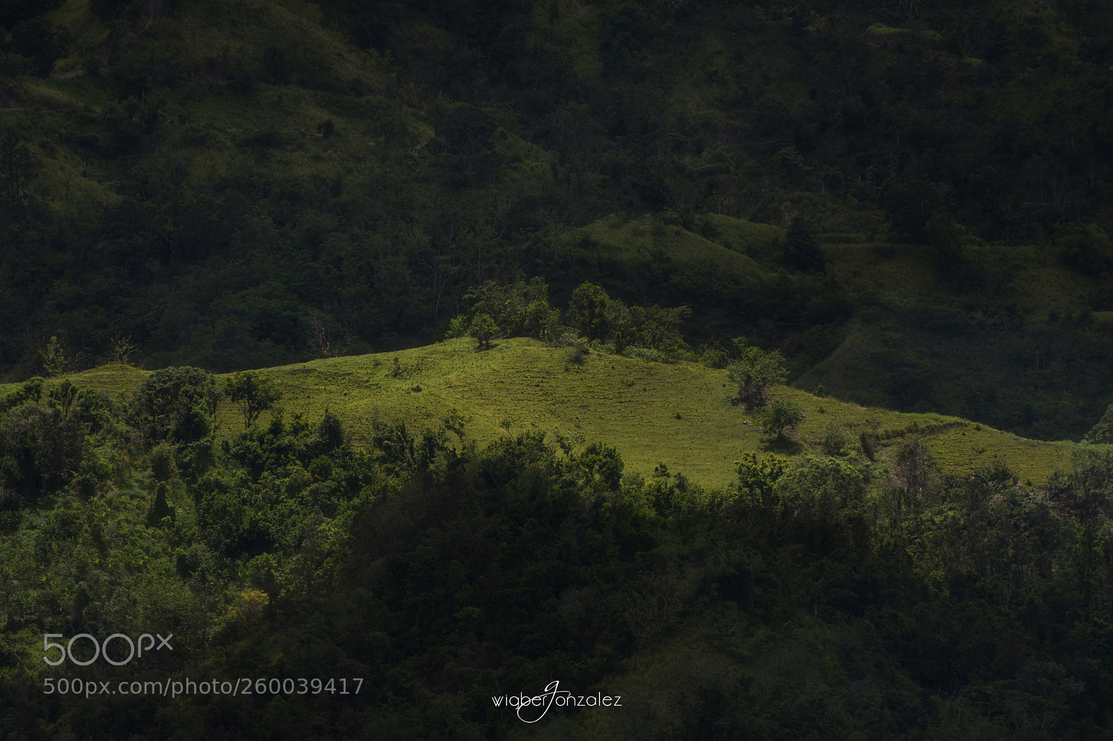 Nikon D7200 sample photo. Luz de la montana photography