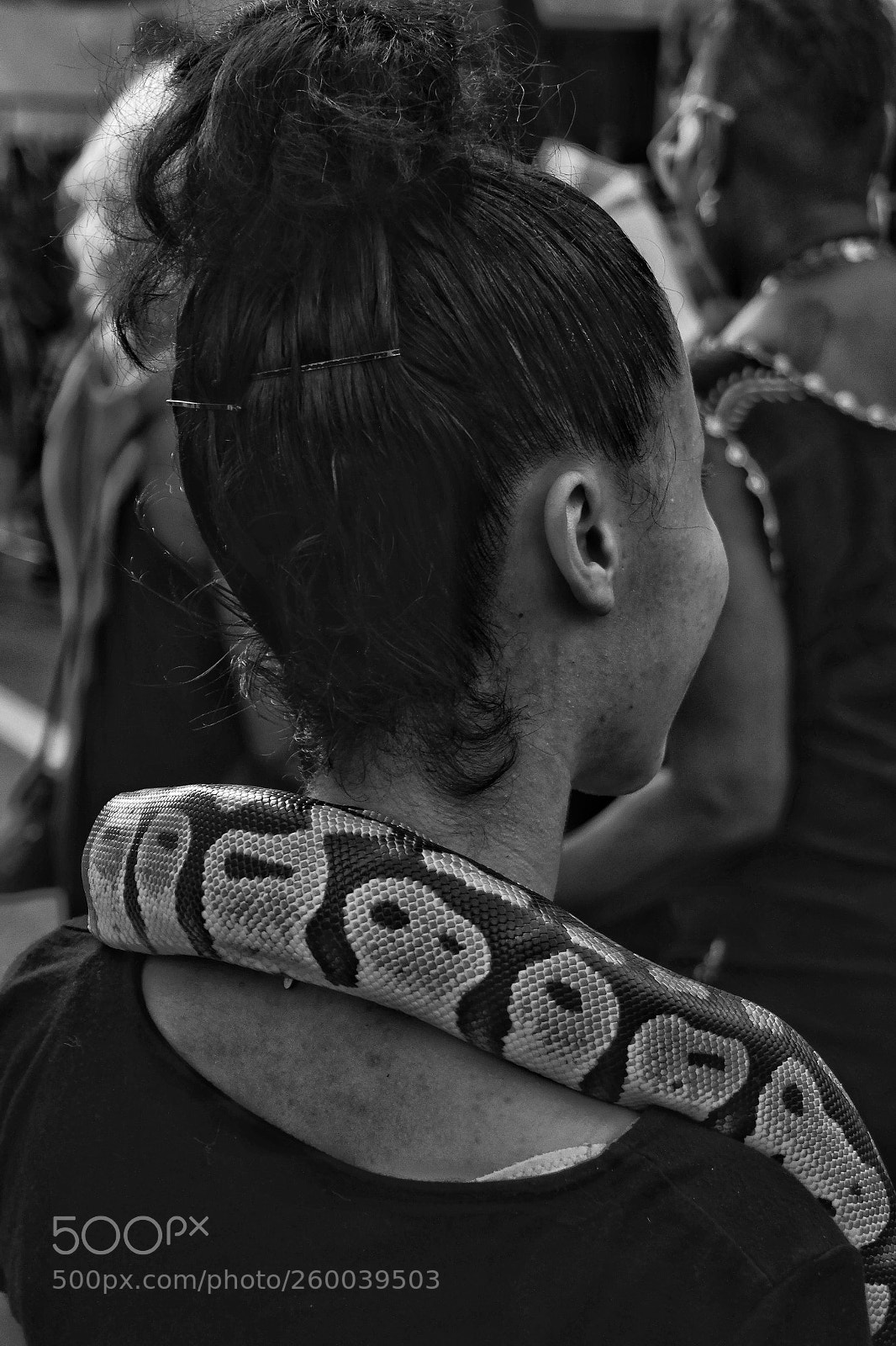 Samsung NX300 sample photo. Neck snake photography