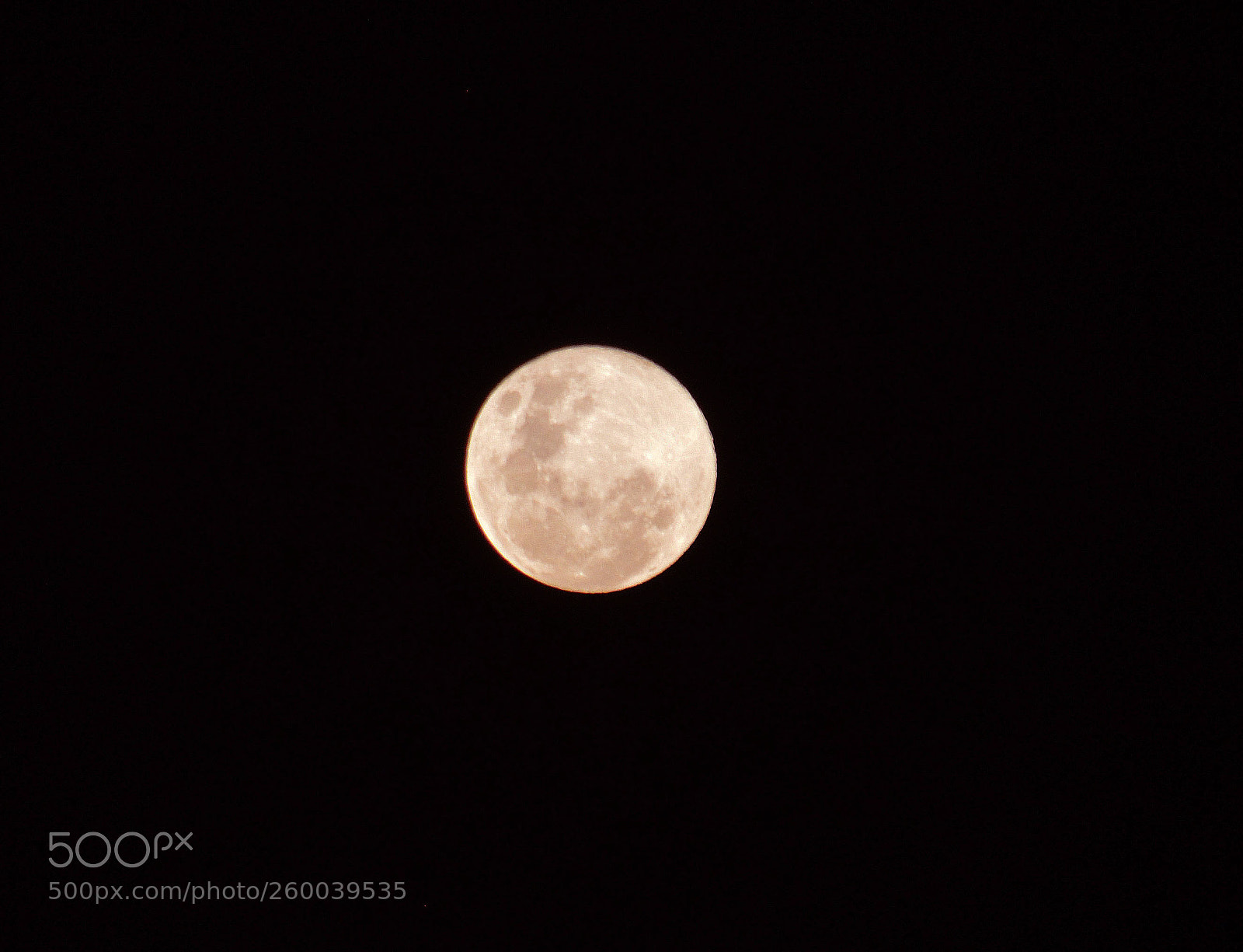Nikon D5100 sample photo. Untitled photography