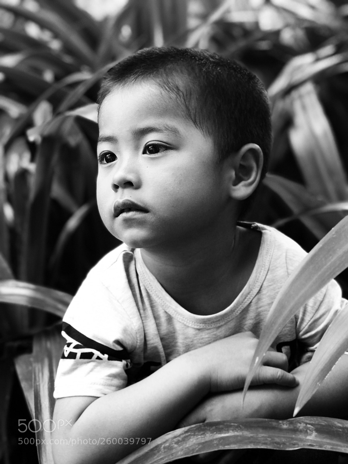 Apple iPhone 7 Plus sample photo. 目之所及，情之所至 photography