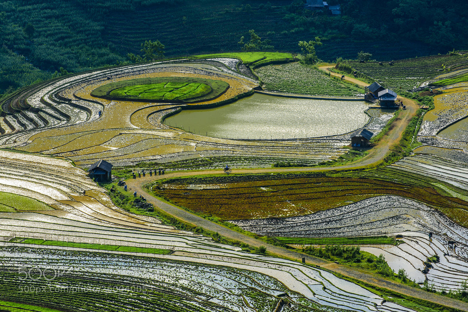 Nikon D750 sample photo. _pnt4551-2.jpg photography