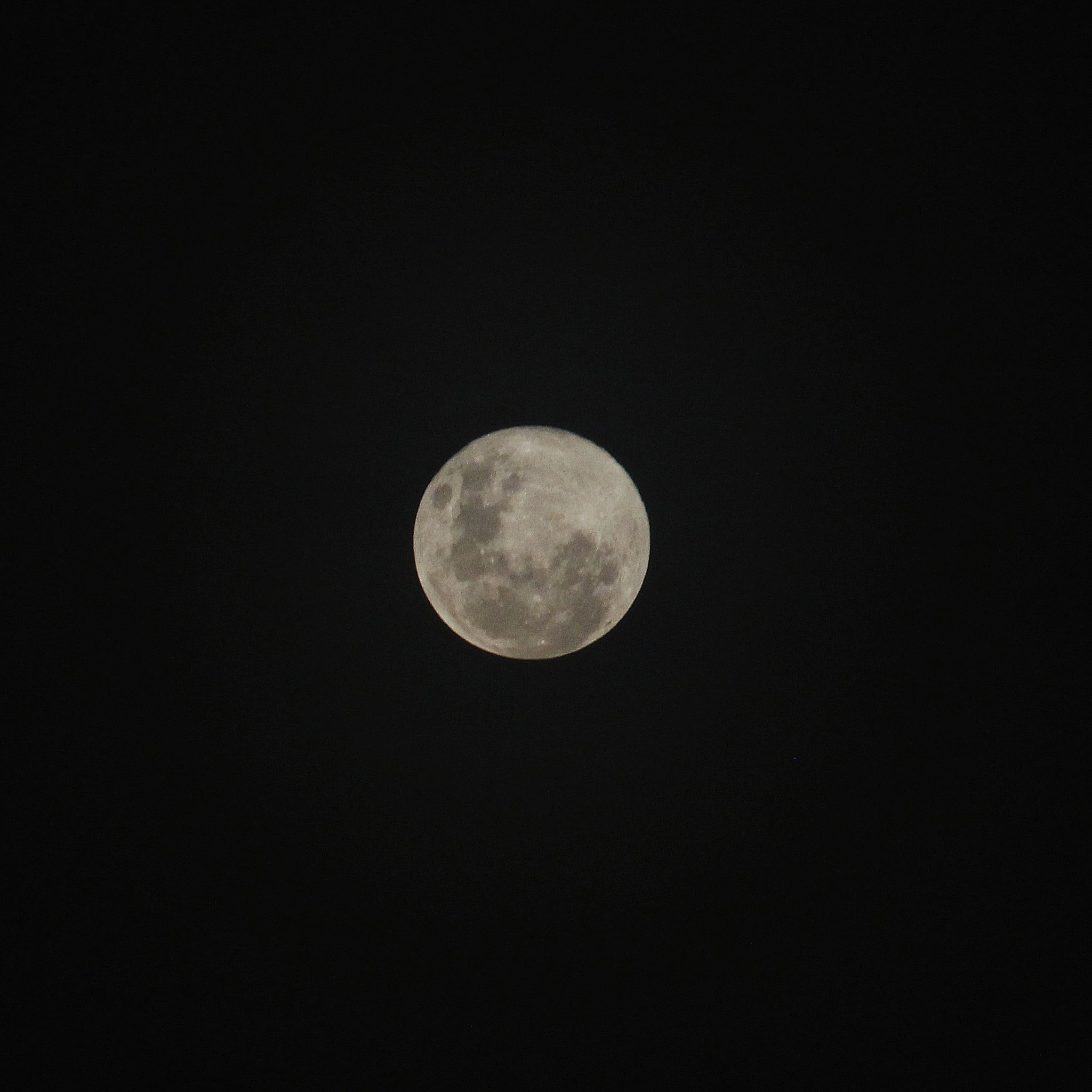 Canon EOS 100D (EOS Rebel SL1 / EOS Kiss X7) sample photo. "una luna en la laguna... photography