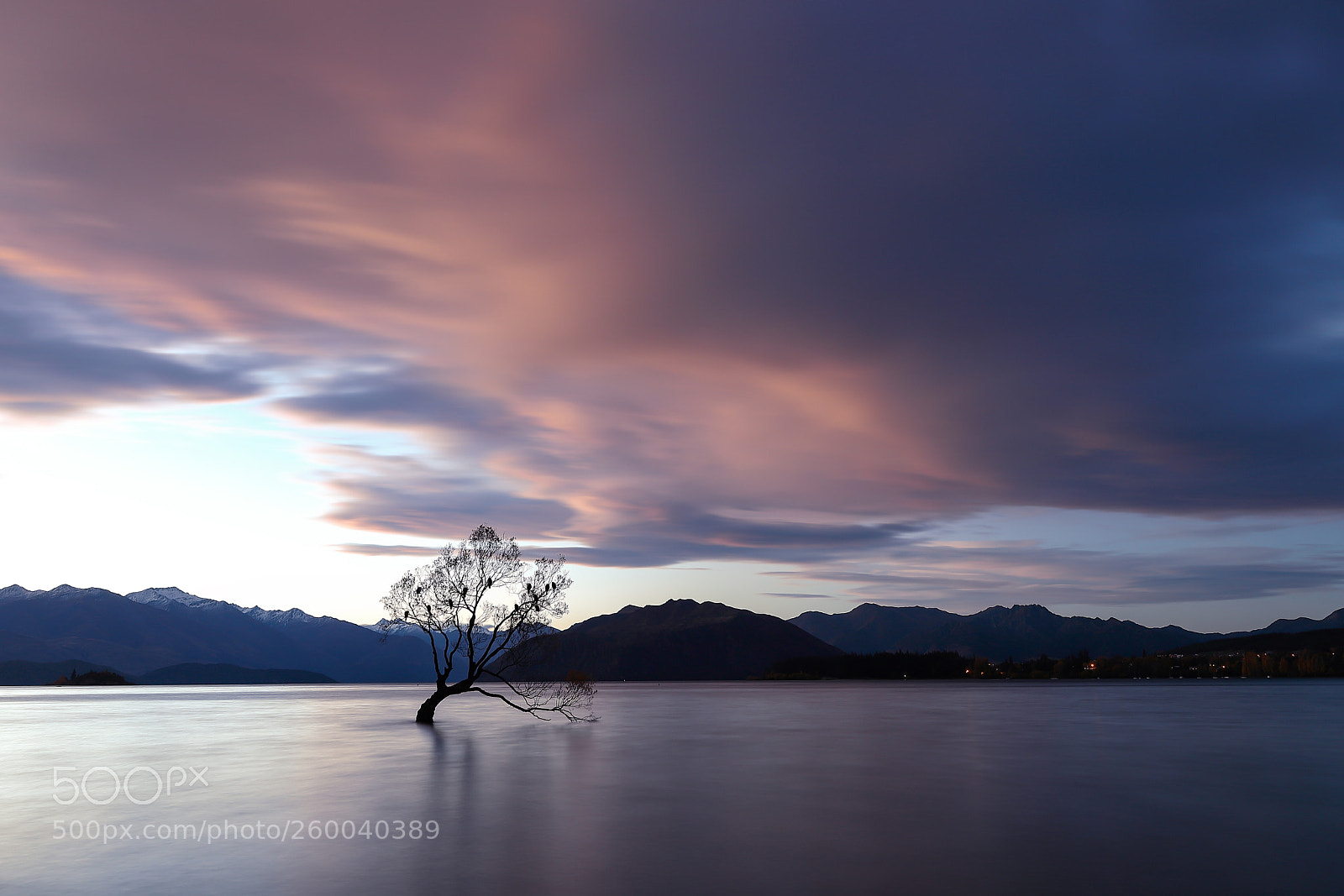 Canon EOS 6D Mark II sample photo. Lonely tree photography