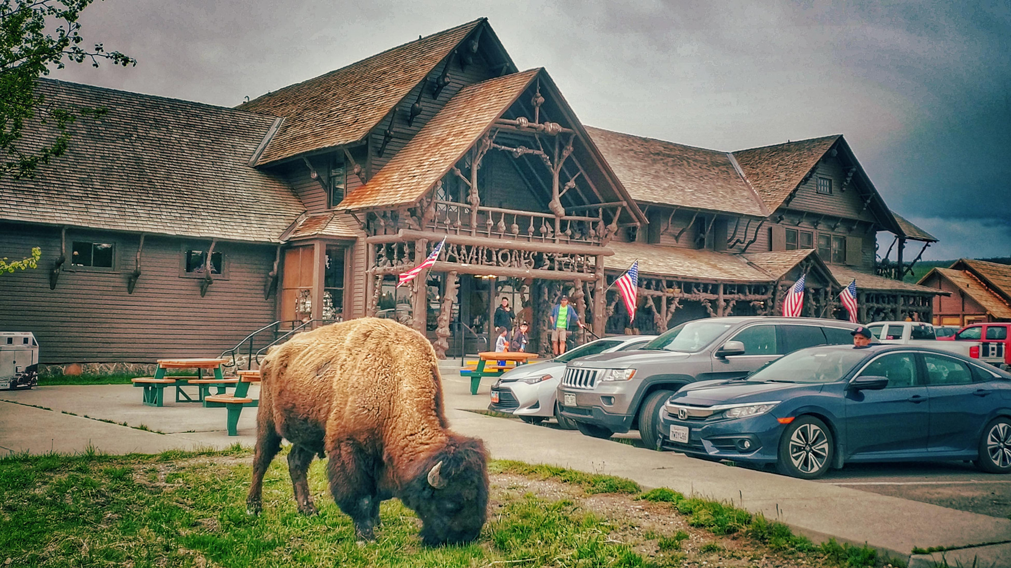 Xiaomi Mi MIX 2 sample photo. Yellowstone national park photography