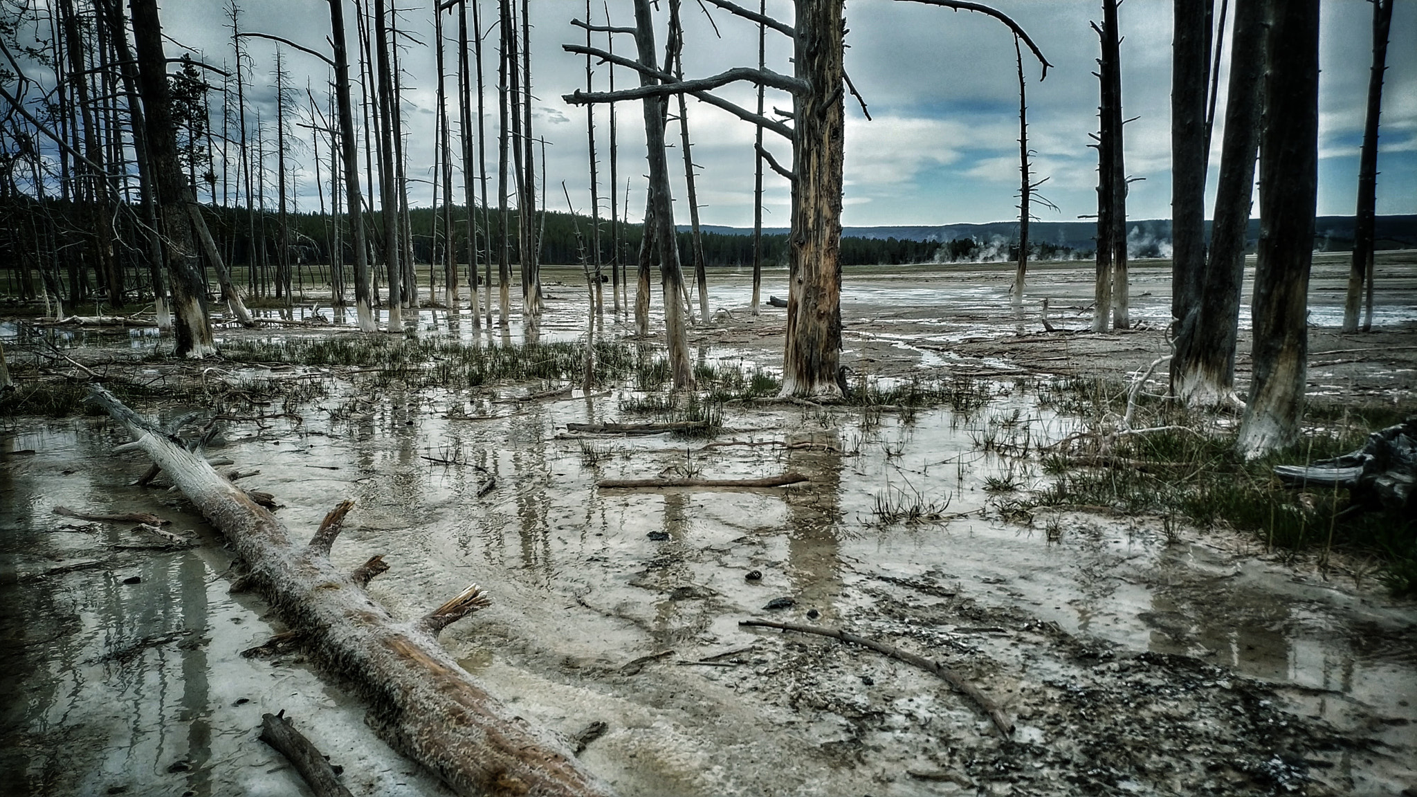 Xiaomi Mi MIX 2 sample photo. Yellowstone national park photography