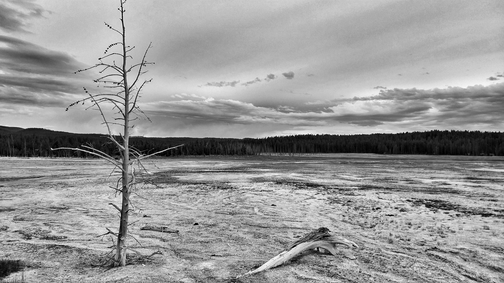 Xiaomi Mi MIX 2 sample photo. Yellowstone national park photography