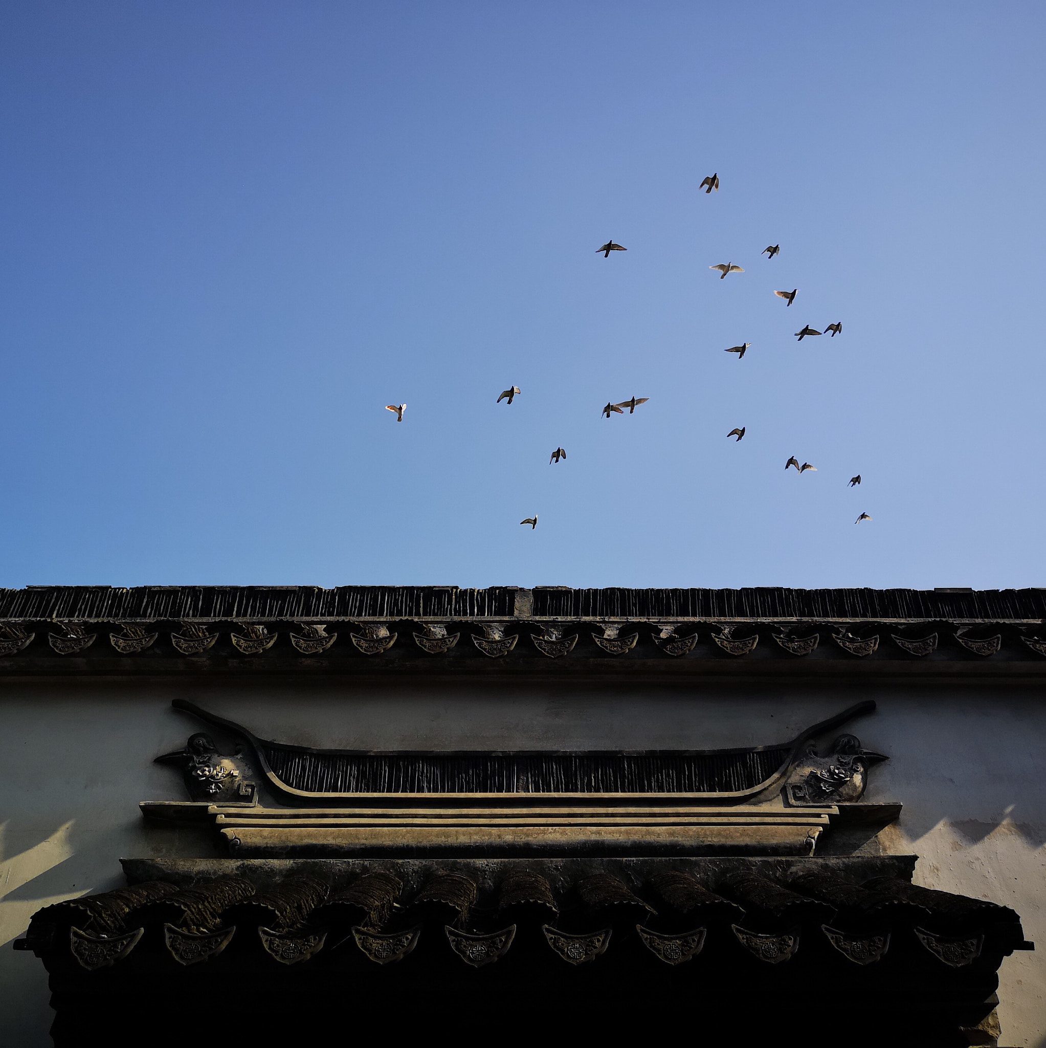HUAWEI P20 Pro sample photo. My heart is flying. photography