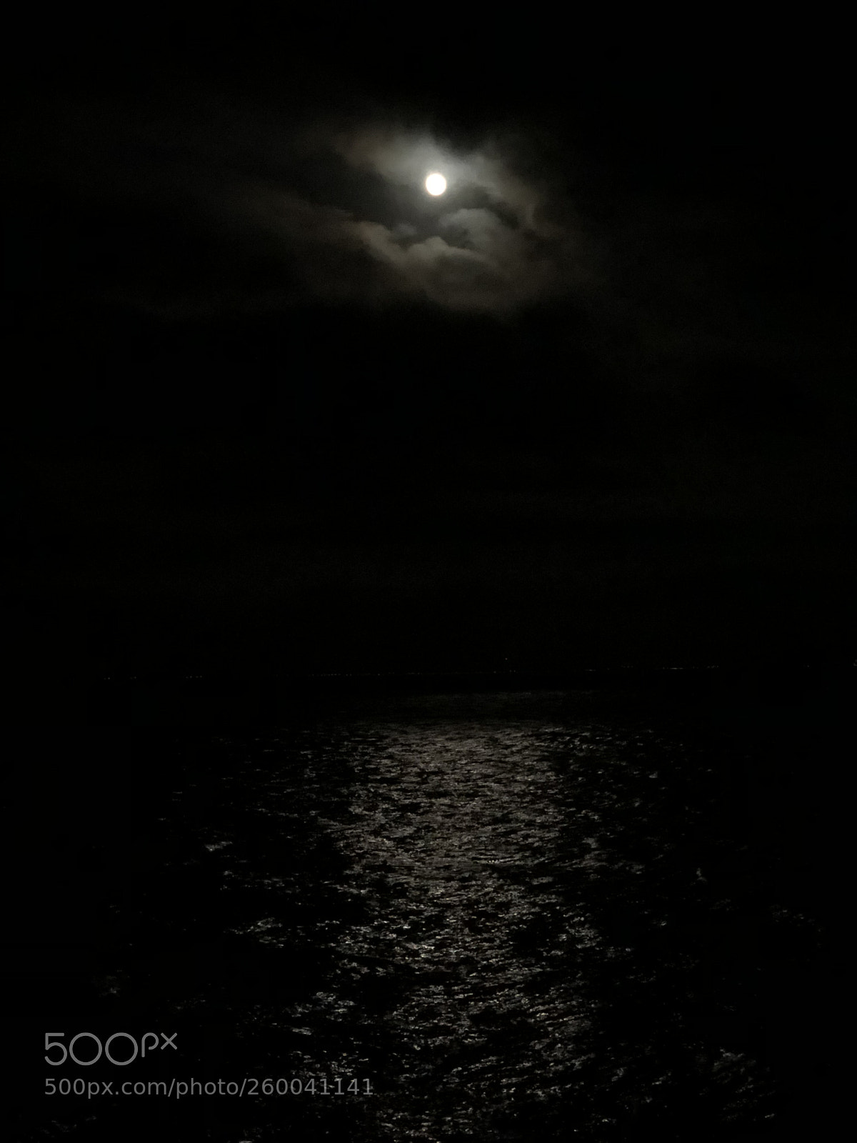 Apple iPhone X sample photo. Florida full moon  photography