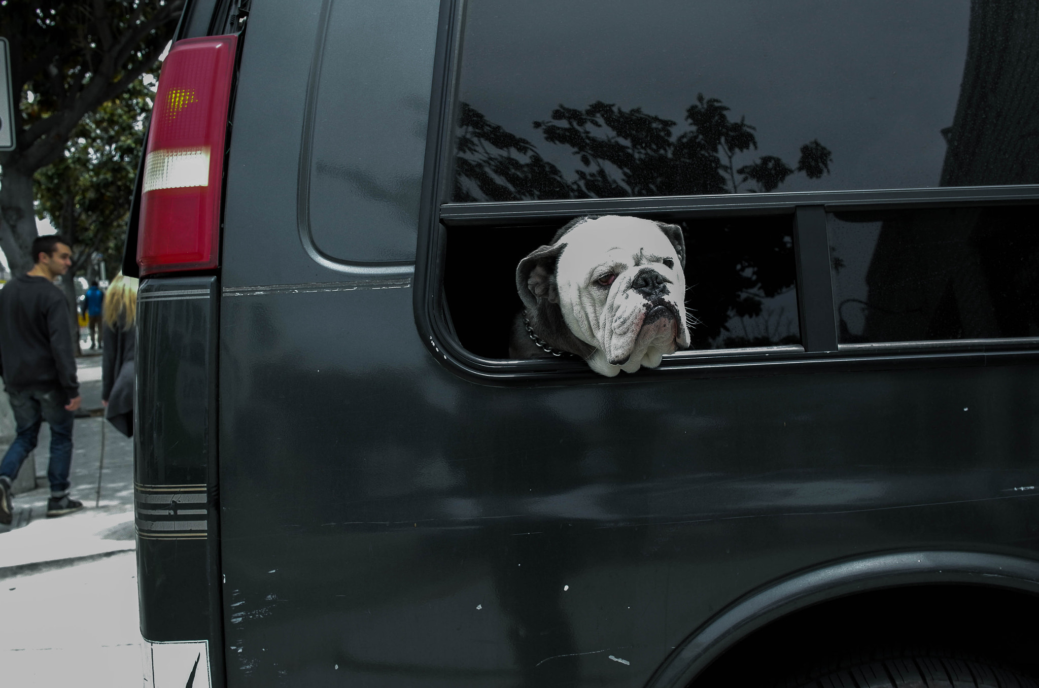 Leica T (Typ 701) sample photo. Window dog2 photography