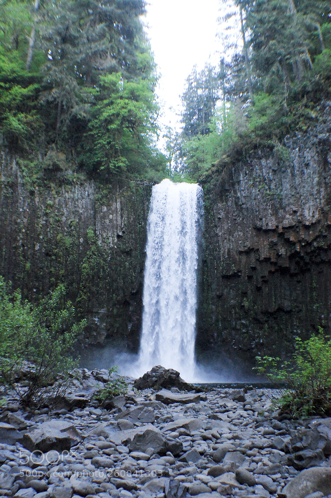 Nikon D40 sample photo. Abiqua falls photography