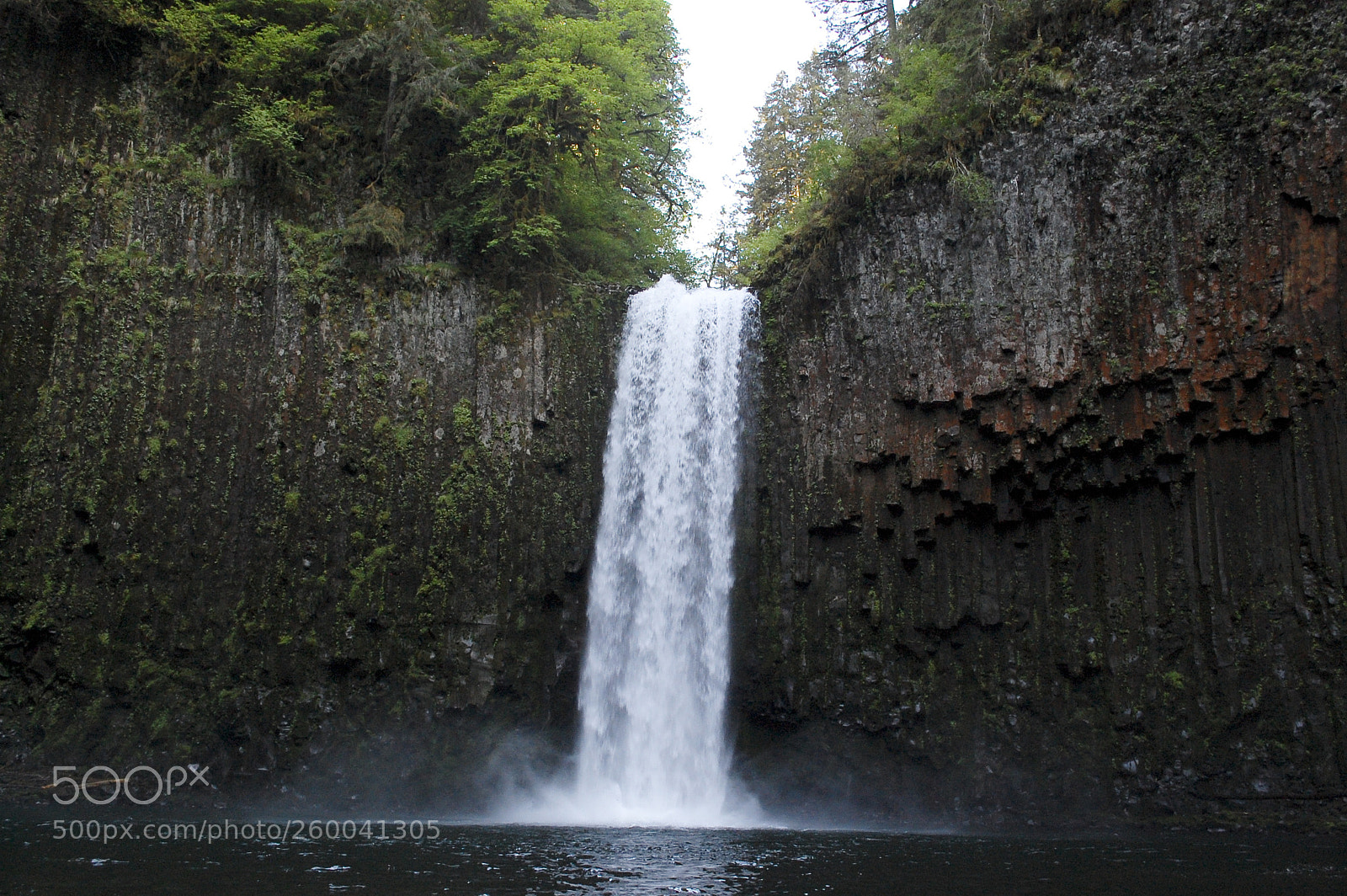 Nikon D40 sample photo. Abiqua falls photography