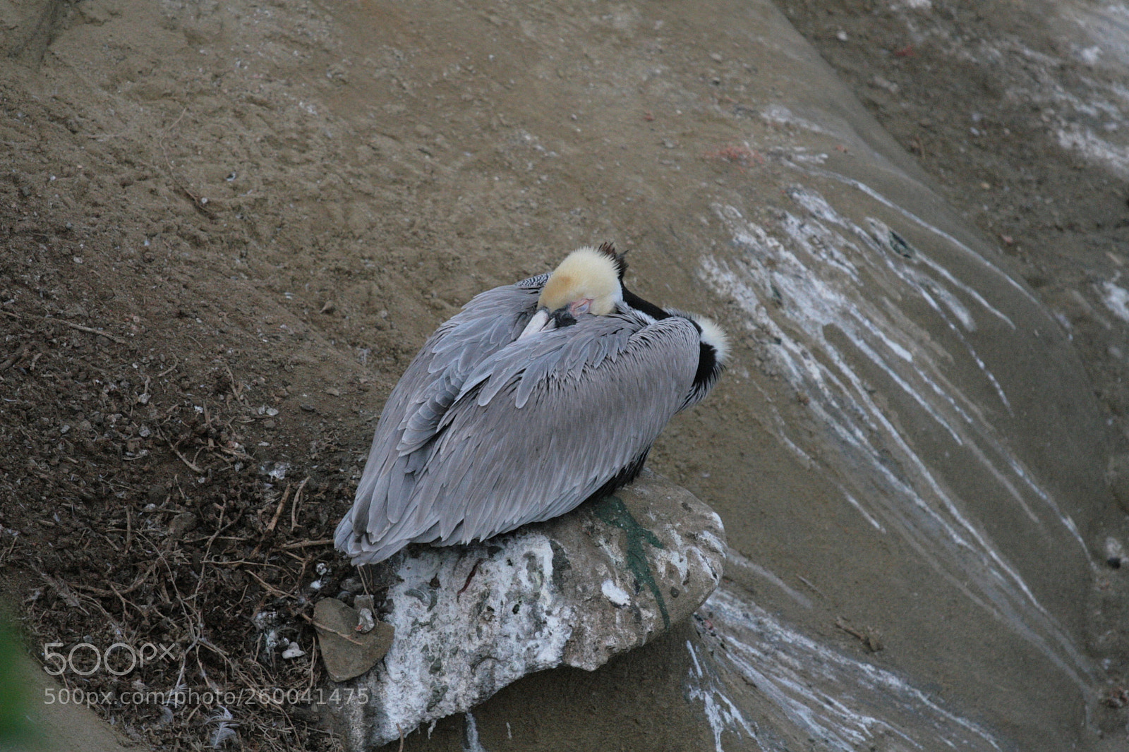 Canon EOS 30D sample photo. Img photography