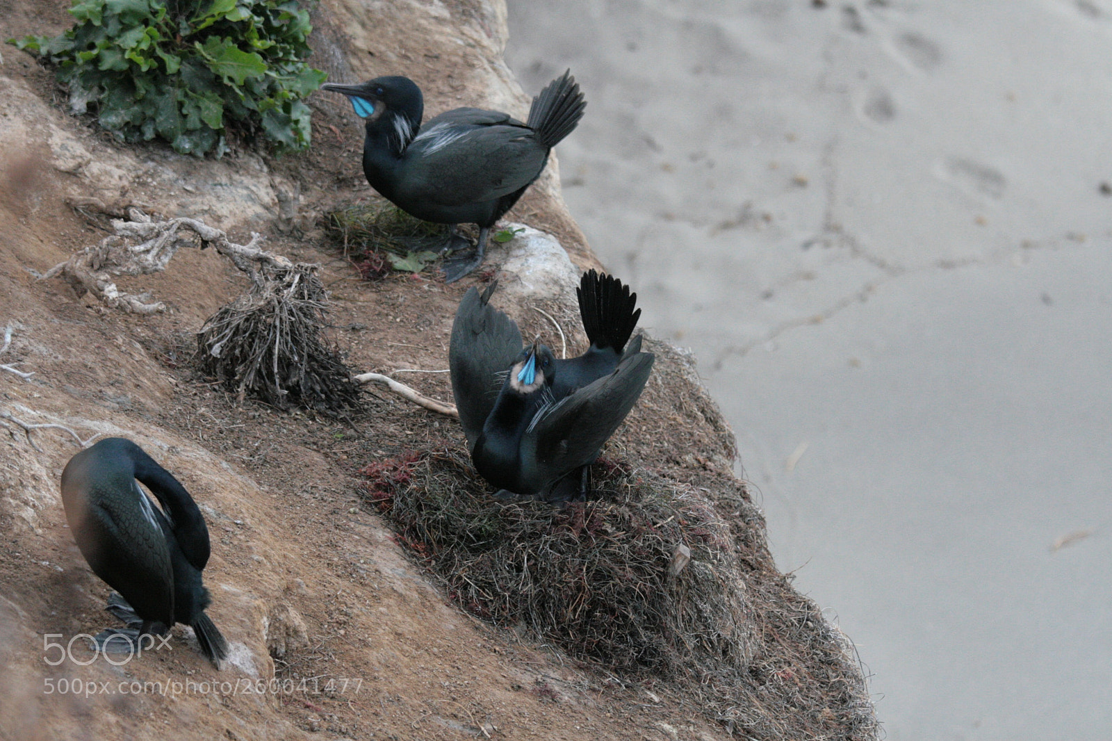 Canon EOS 30D sample photo. Img photography