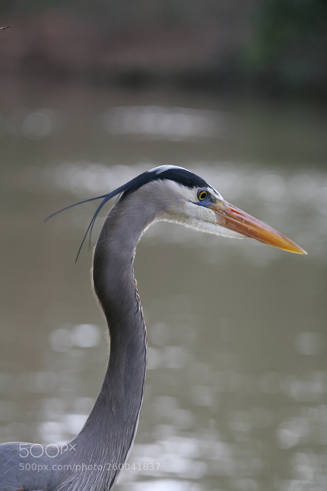 Canon EOS 30D sample photo. Img photography