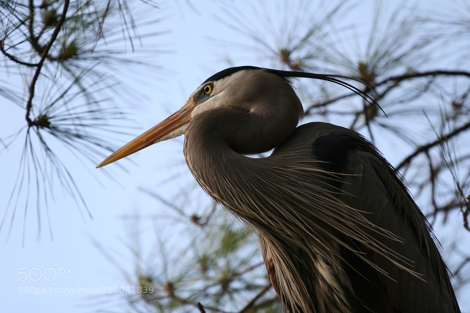Canon EOS 30D sample photo. Img photography