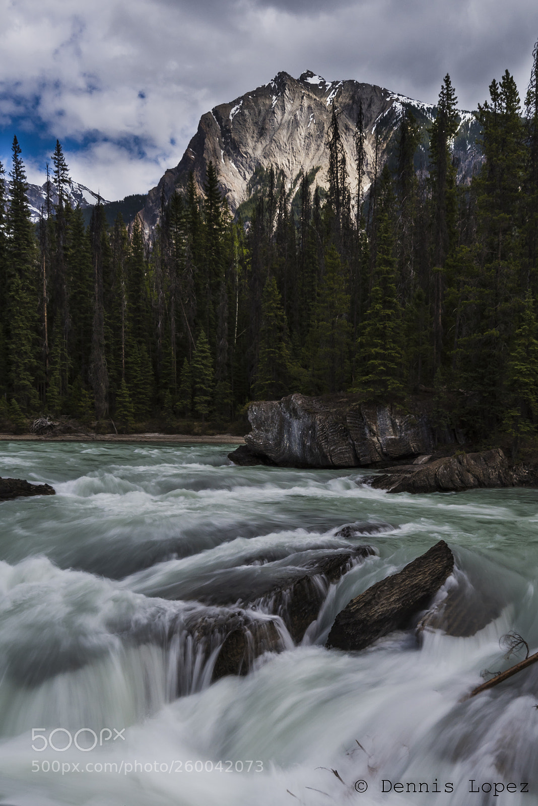 Nikon D750 sample photo. Natural bridge photography