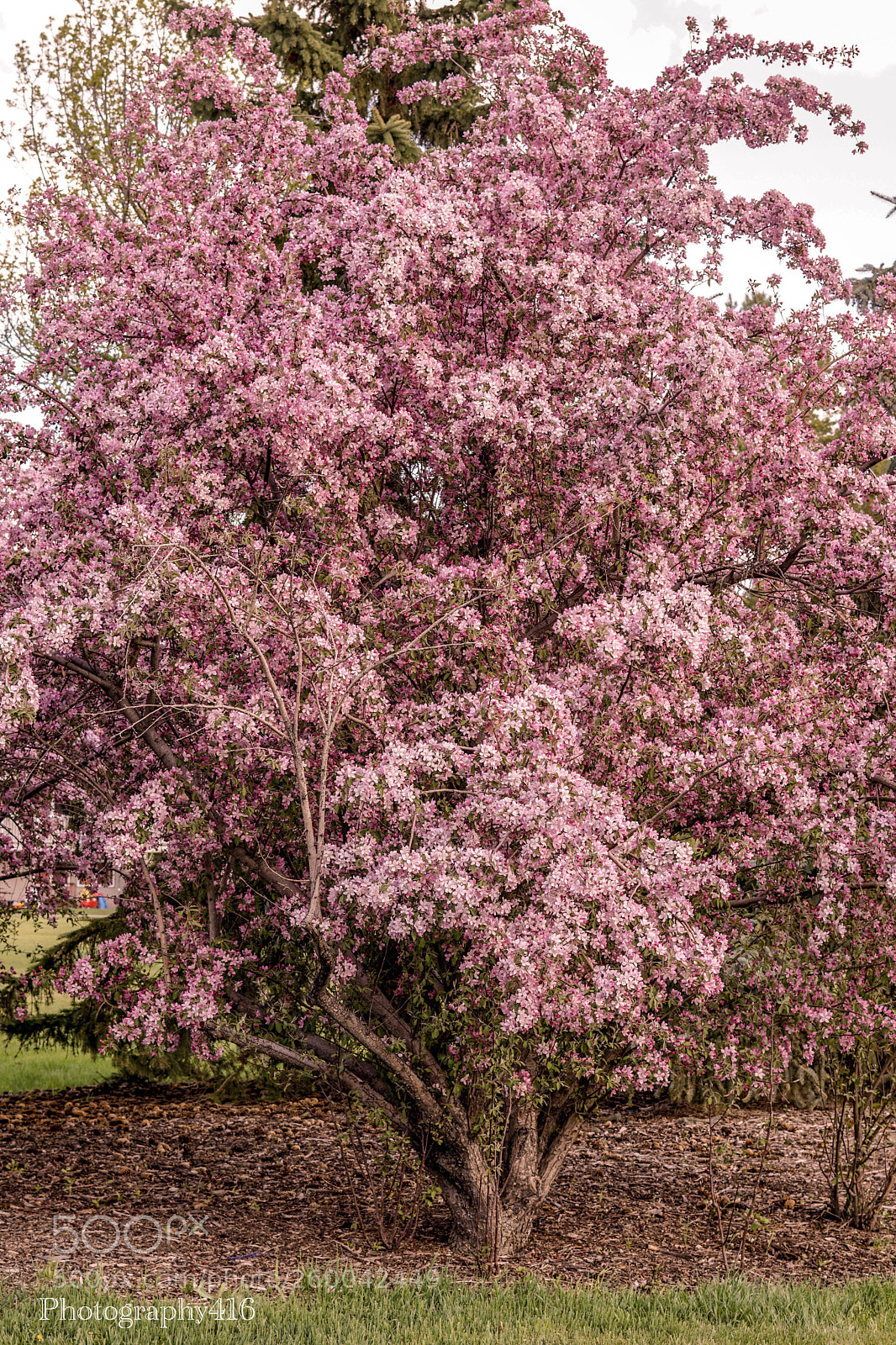 Sony a6000 sample photo. Pink spire photography