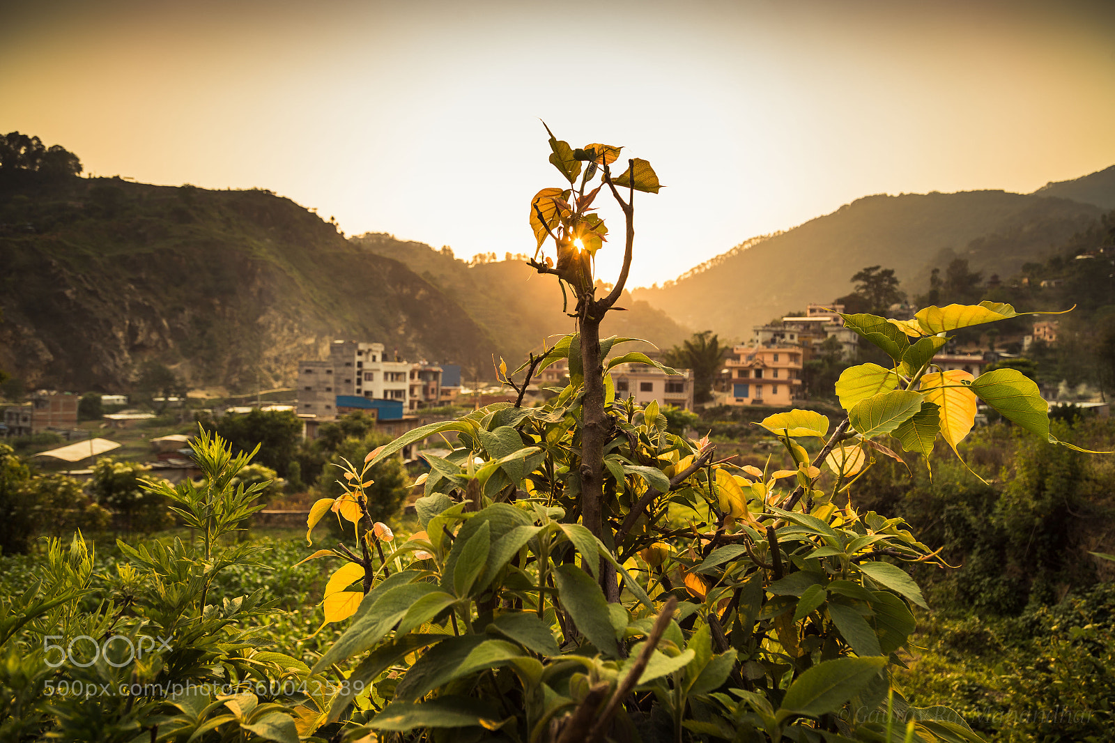 Canon EOS 6D sample photo. Untitled photography