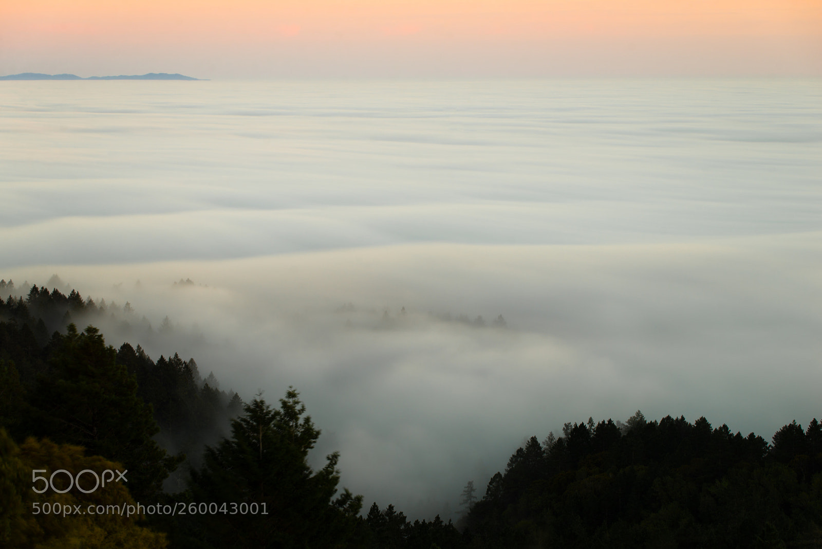 Nikon D610 sample photo. Sea of clouds photography