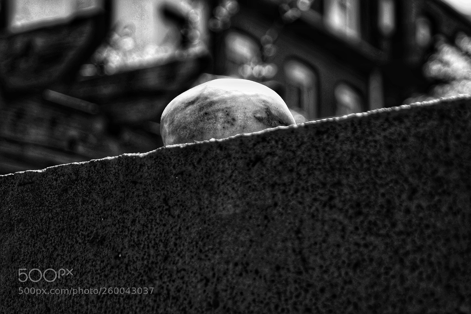 Samsung NX300 sample photo. Wall fruit photography
