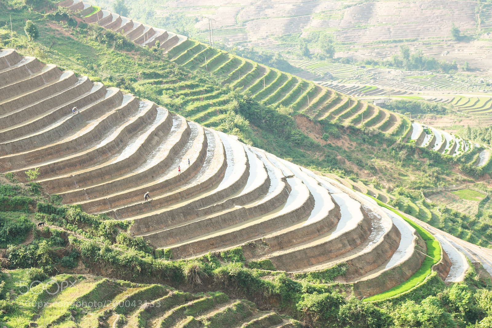 Canon EOS 700D (EOS Rebel T5i / EOS Kiss X7i) sample photo. Img photography