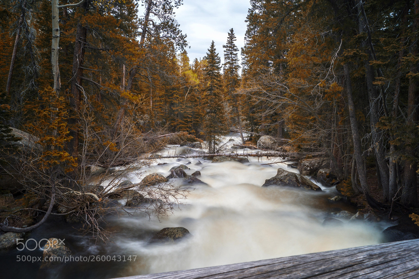 Sony ILCA-77M2 sample photo. Ouzel falls trek photography