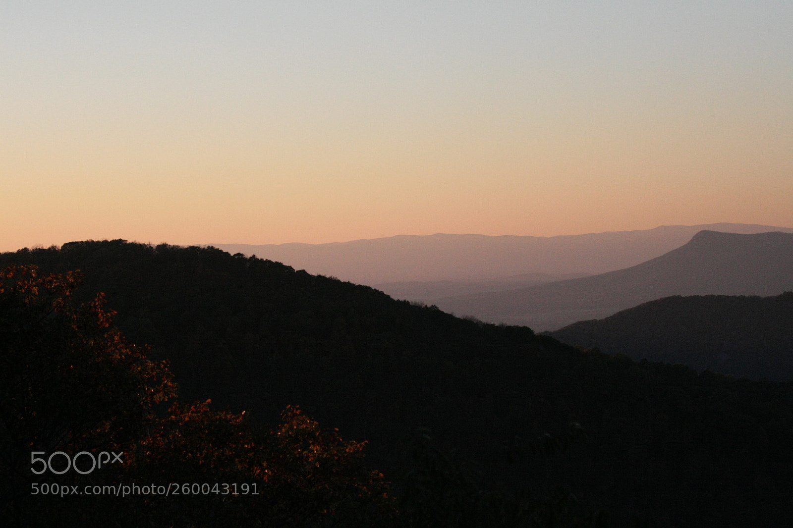 Canon EOS 30D sample photo. Img photography