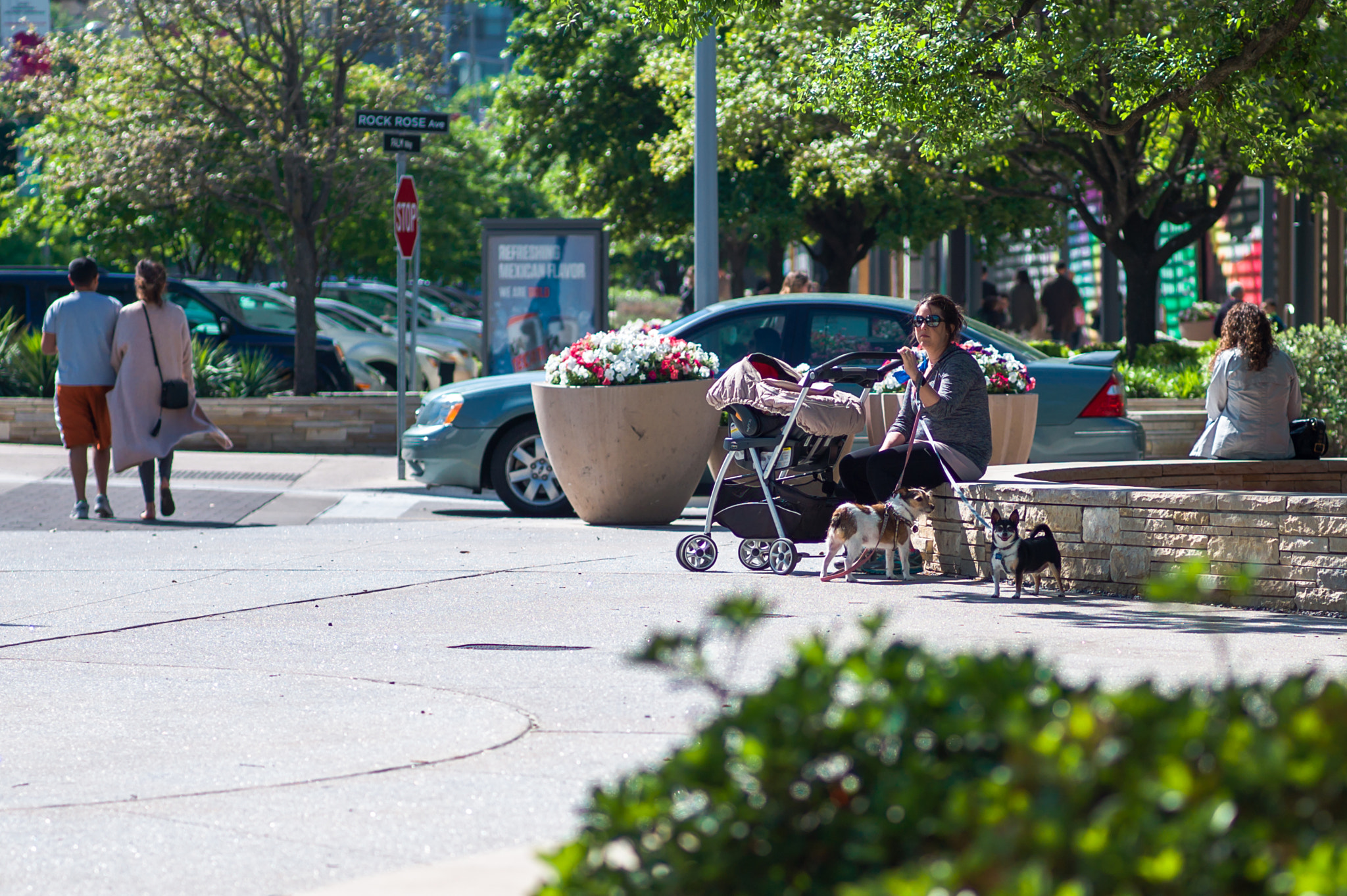 Leica M9 sample photo. Puppy lady photography