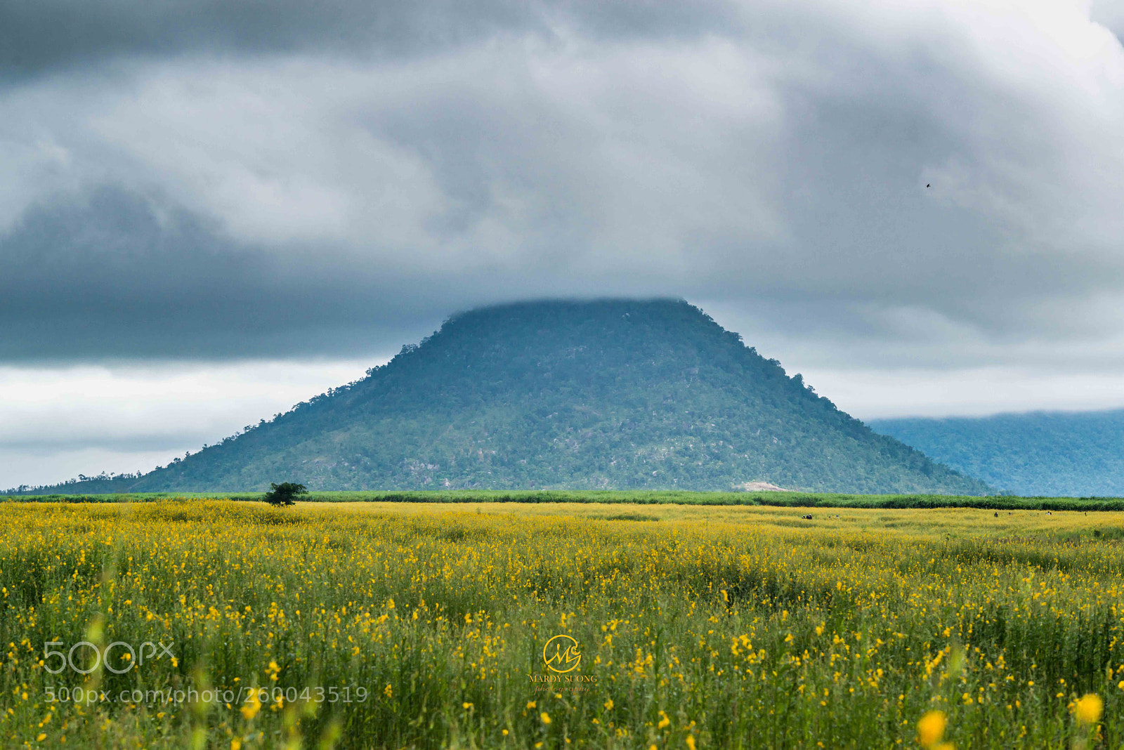 Nikon D800 sample photo. កន្លែងអស្ចារ្យ ! breathtaking place ! photography