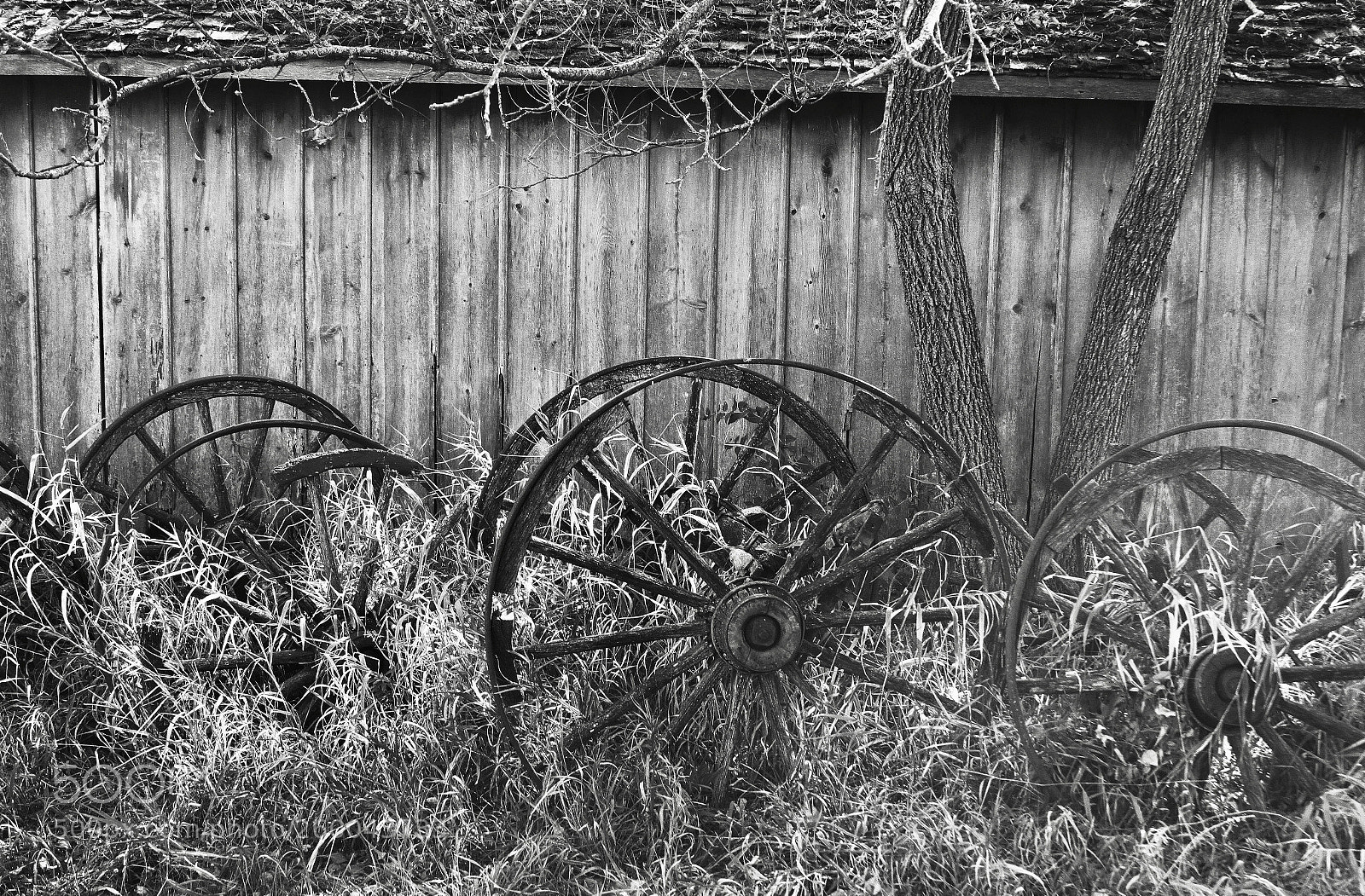 Canon EOS 7D sample photo.  old  farm photography