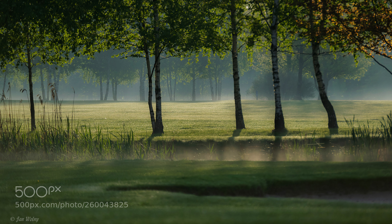 Nikon D3300 sample photo. Misty morning on the photography
