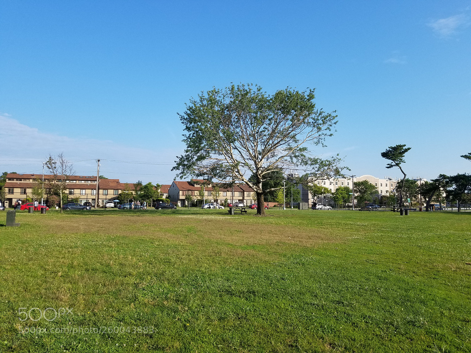 Samsung Galaxy S7 Edge sample photo. 20170811_080358_001.jpg photography