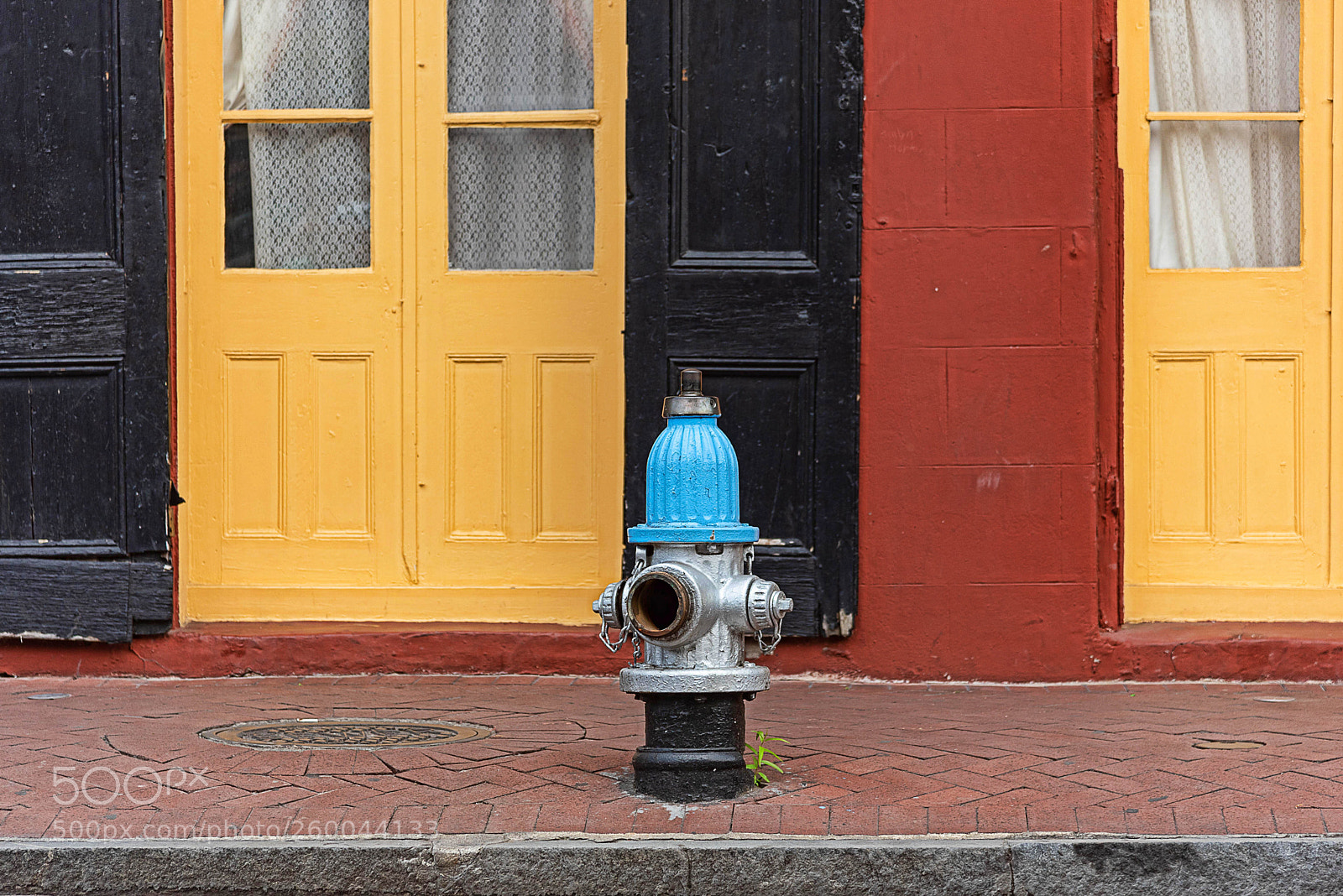 Nikon D750 sample photo. Blue fire hydrant photography