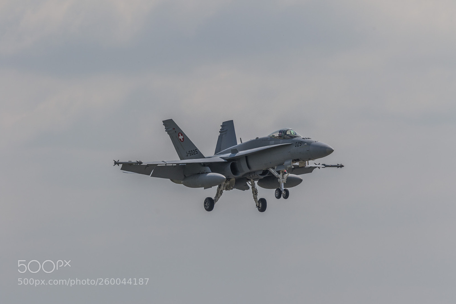 Canon EOS 7D Mark II sample photo. Swiss hornet photography