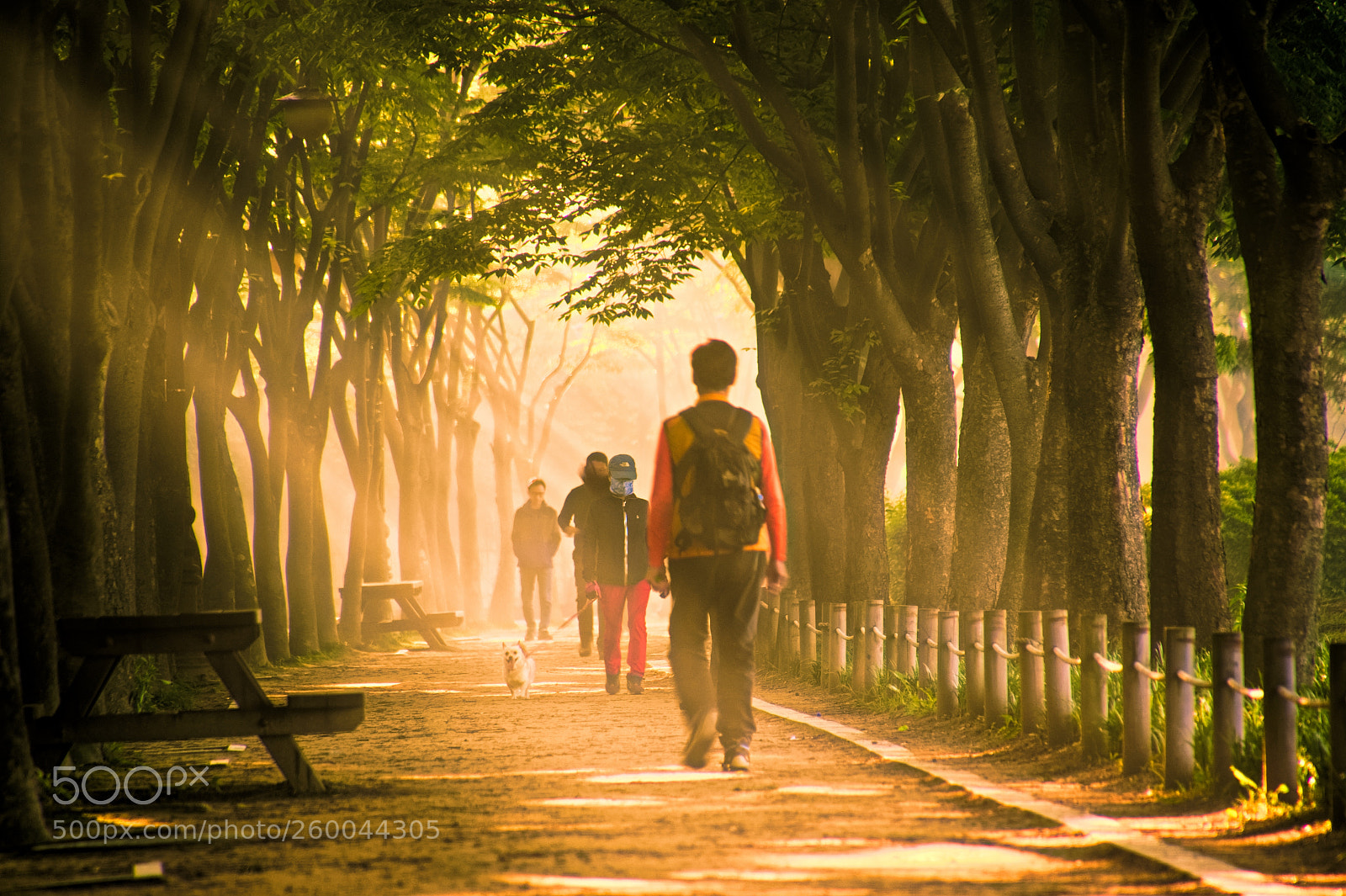 Nikon D500 sample photo. A bright morning photography