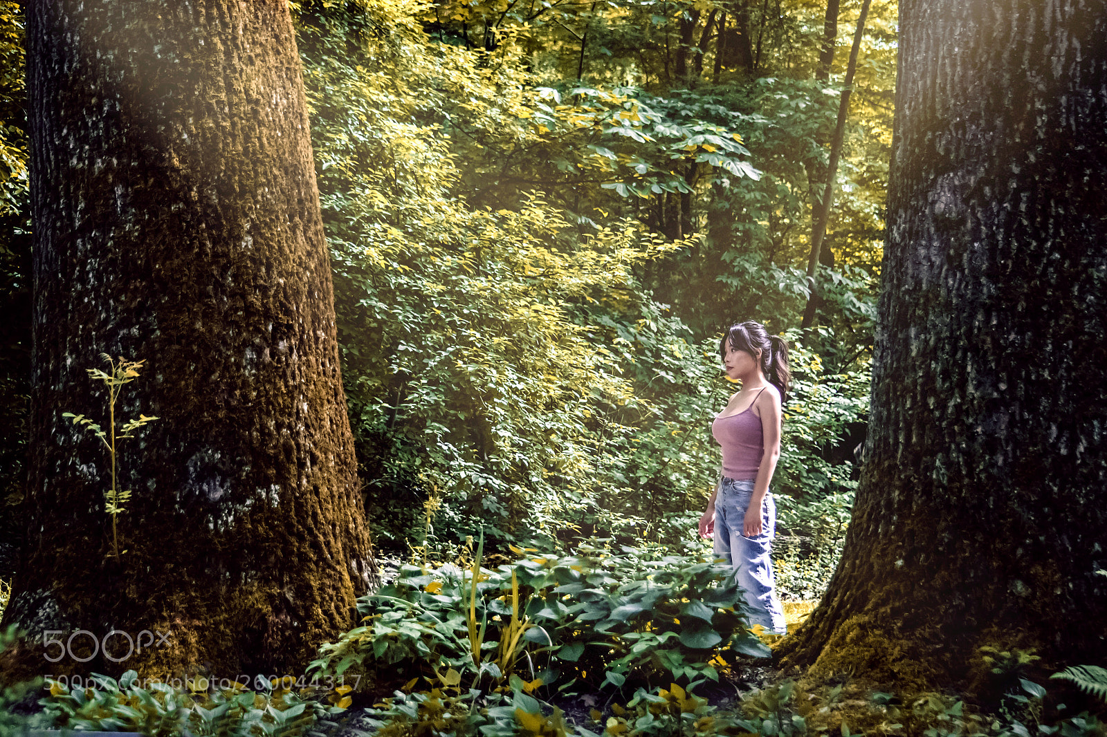 Nikon D3100 sample photo. In the woods photography