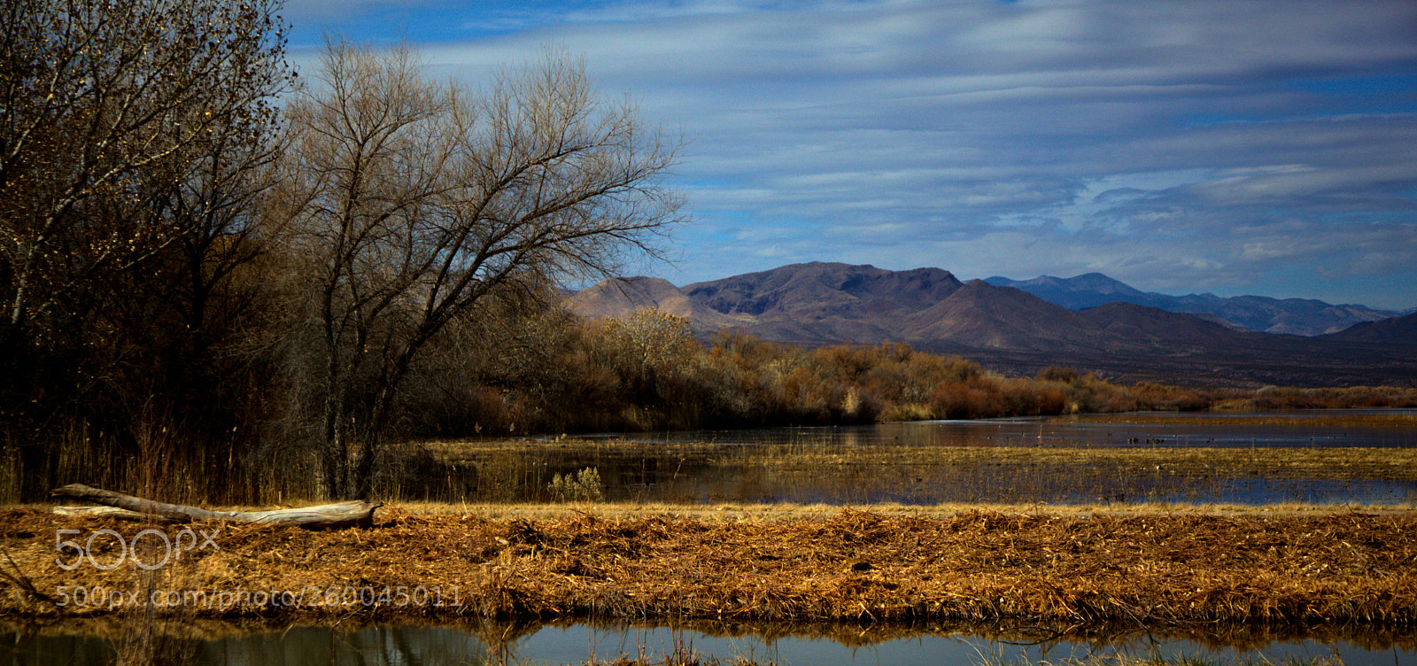 Canon EOS 5D Mark II sample photo. Bosquedelm photography