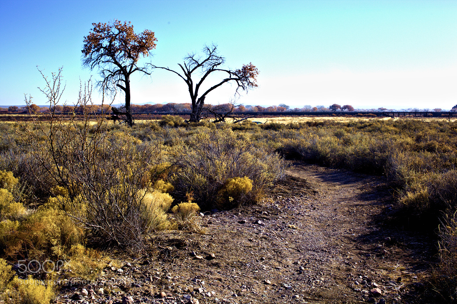 Canon EOS 5D Mark II sample photo. Mg photography
