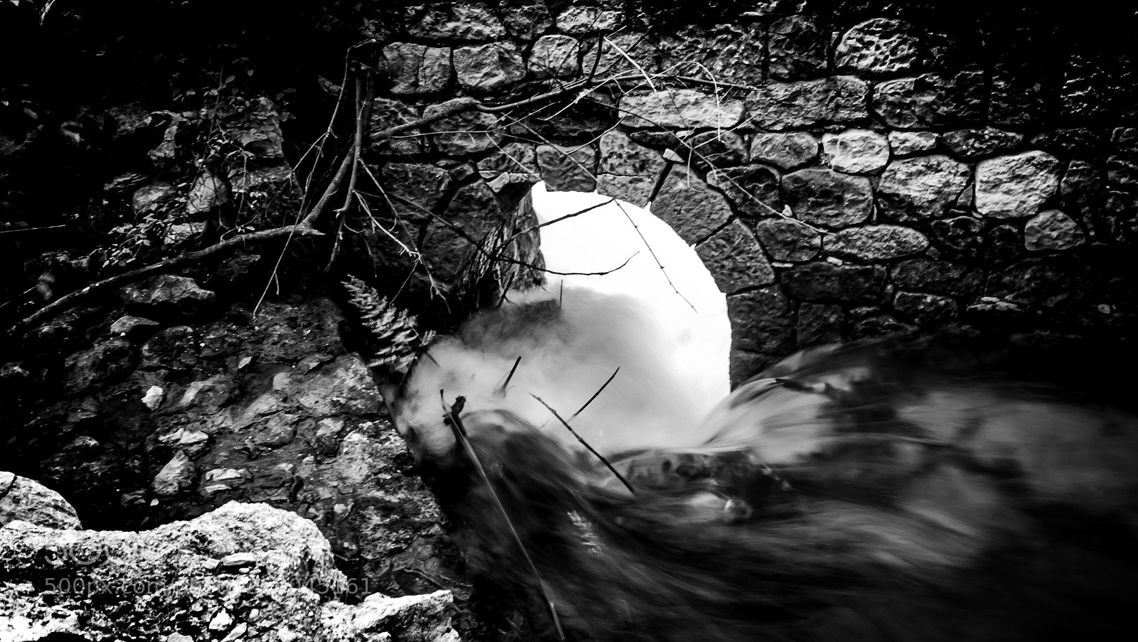 Canon EOS 7D sample photo. Untitled photography