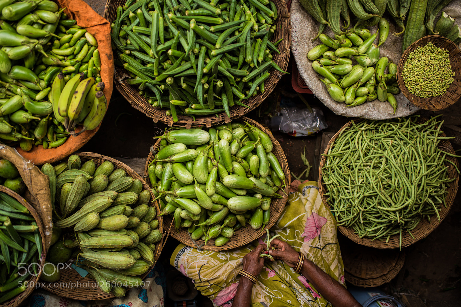Nikon D750 sample photo. Green everything photography