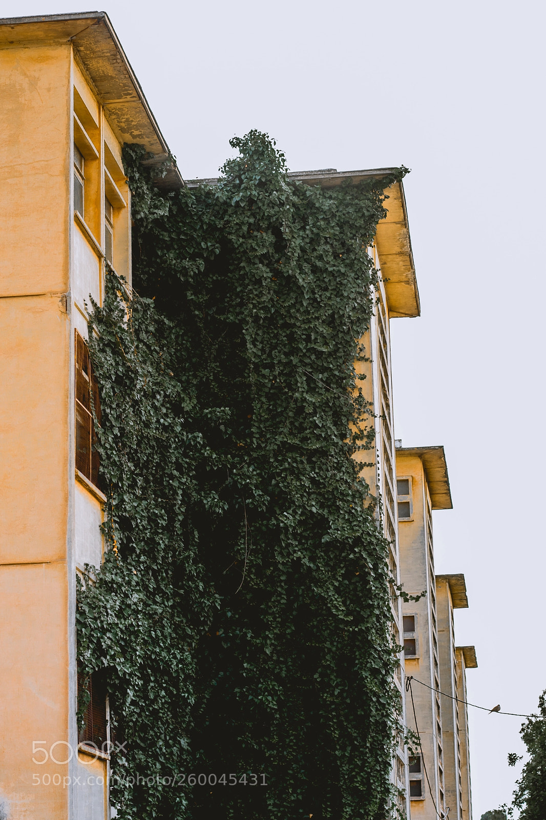 Canon EOS 80D sample photo. Green building photography
