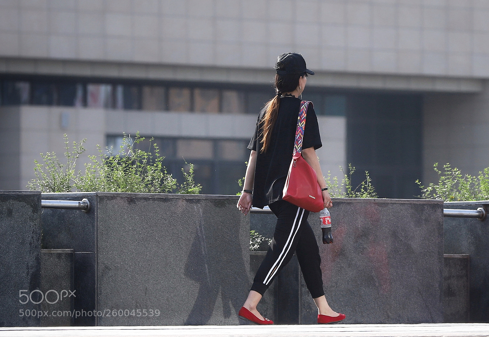Canon EOS 6D Mark II sample photo. 可口可乐色系 photography