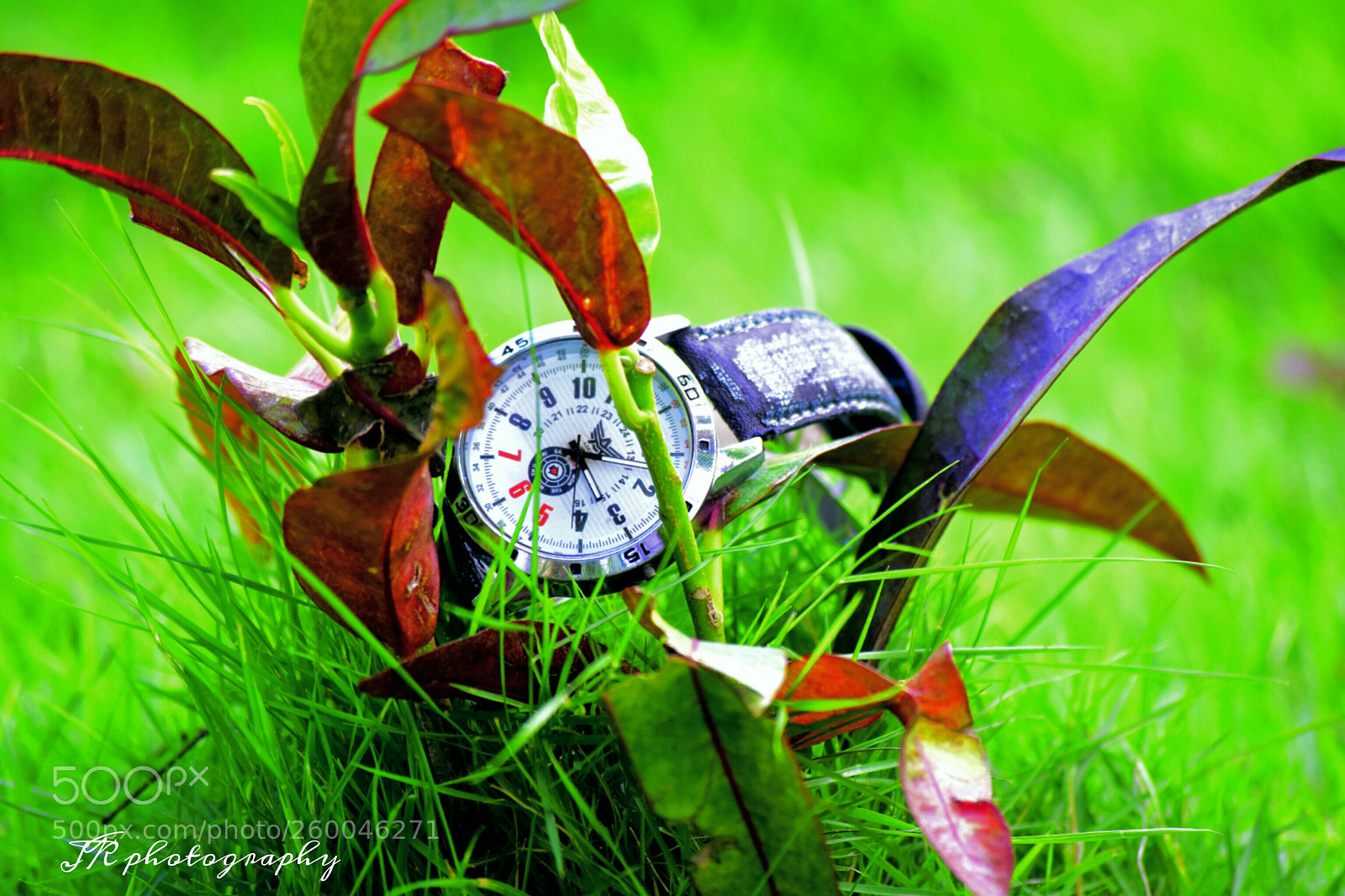 Nikon D5300 sample photo. Untitled photography