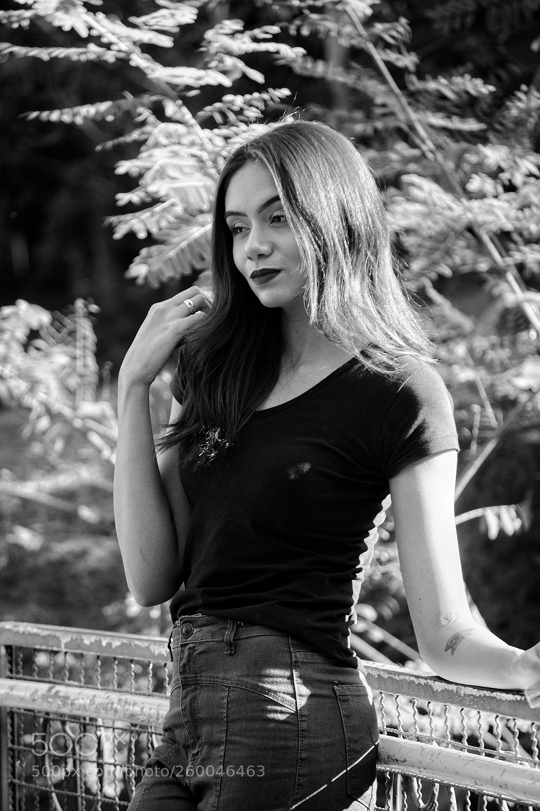Nikon D3100 sample photo. Untitled photography