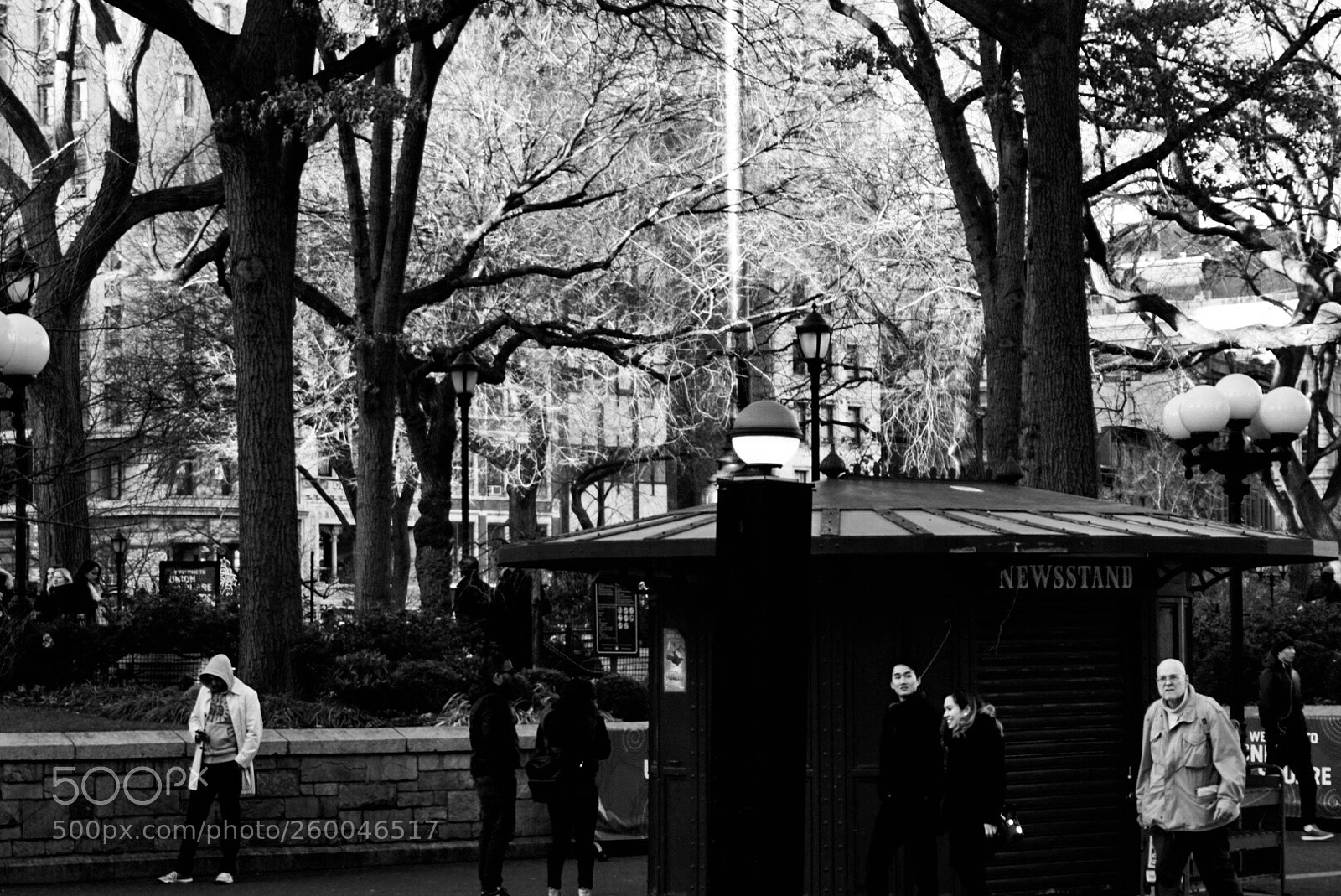 Sony Alpha a5000 (ILCE 5000) sample photo. 11 photography