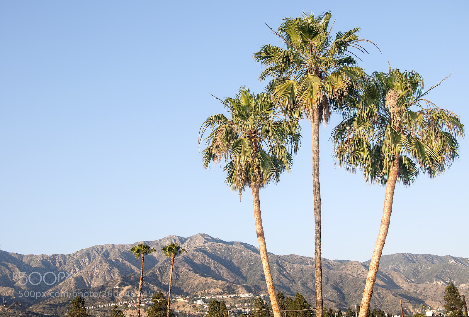 Nikon D90 sample photo. Verdugo mountains photography
