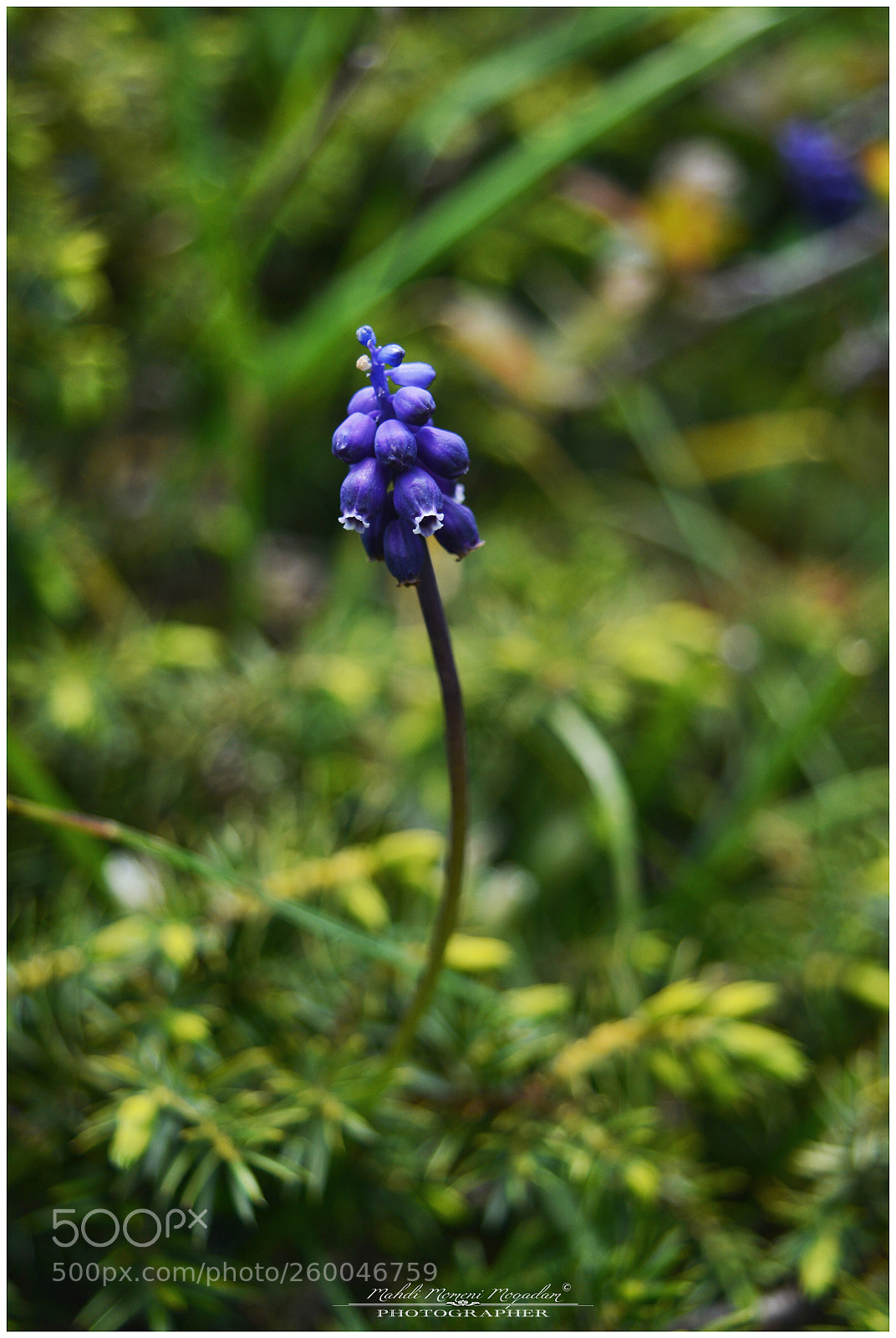 Nikon D5200 sample photo. Life photography