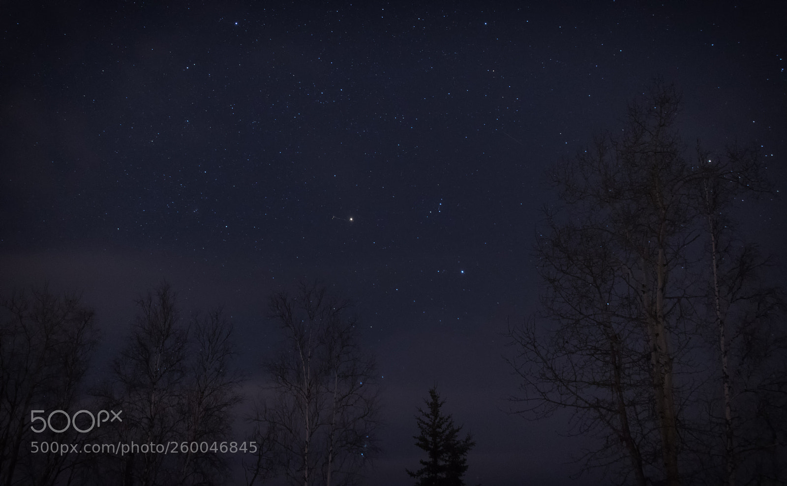 Canon EOS 750D (EOS Rebel T6i / EOS Kiss X8i) sample photo. Counting stars photography