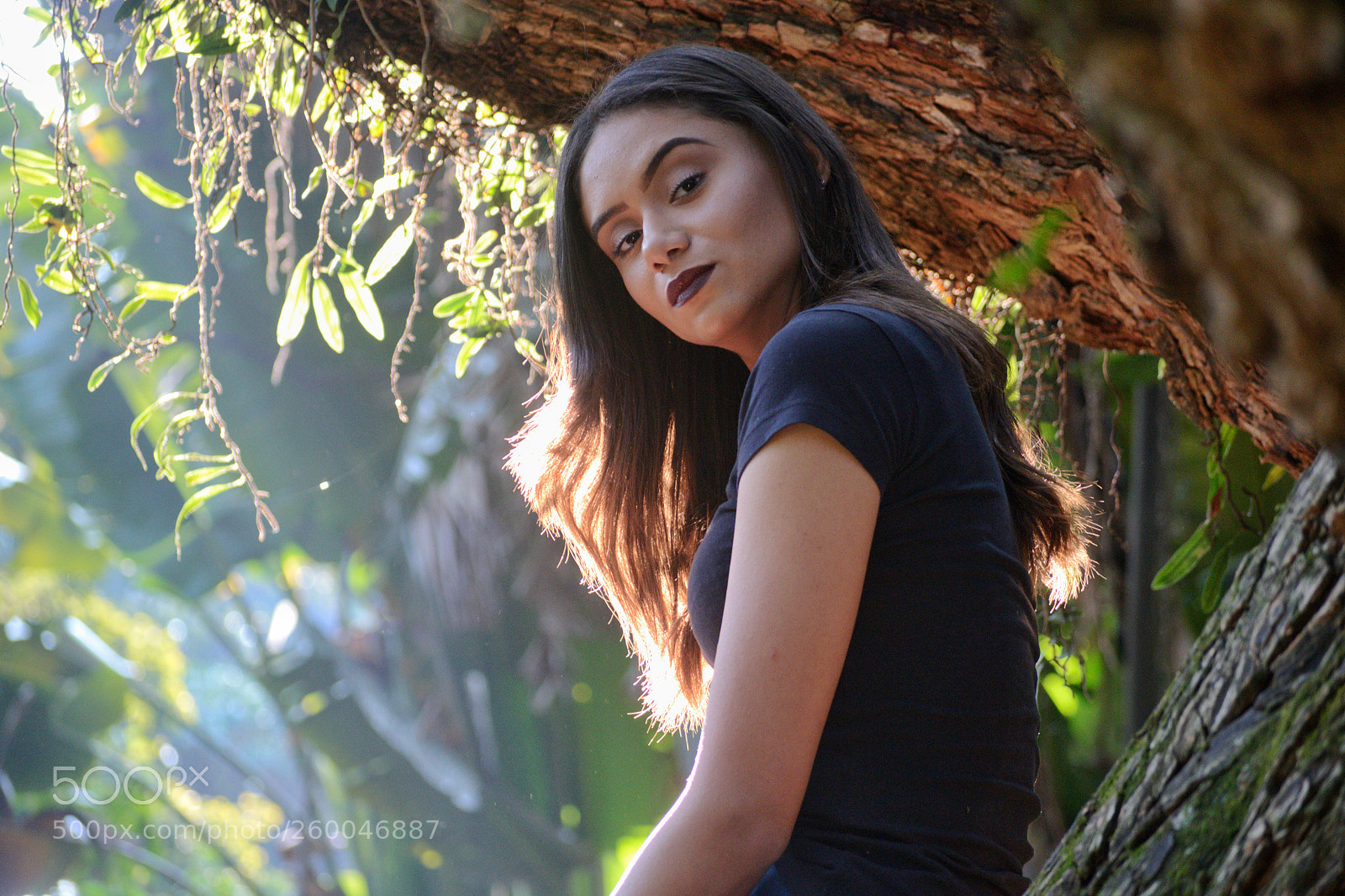Nikon D3100 sample photo. Untitled photography